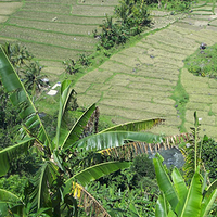 Photo de Bali - Banjar et Gitgit